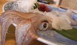 预制鱼片爆料方法视频,跟随视频学习精湛爆料技巧